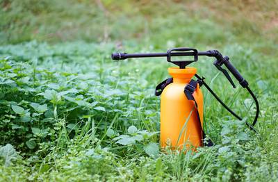 Are Americans Suffering the Effects of Pesticides?